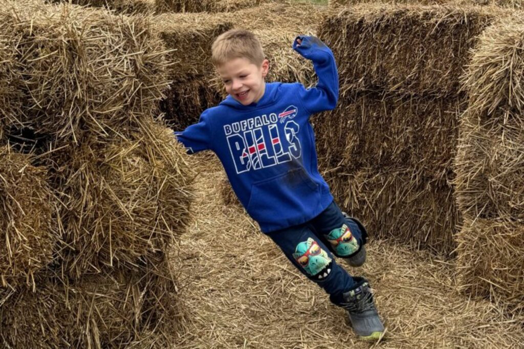 Hay Maze