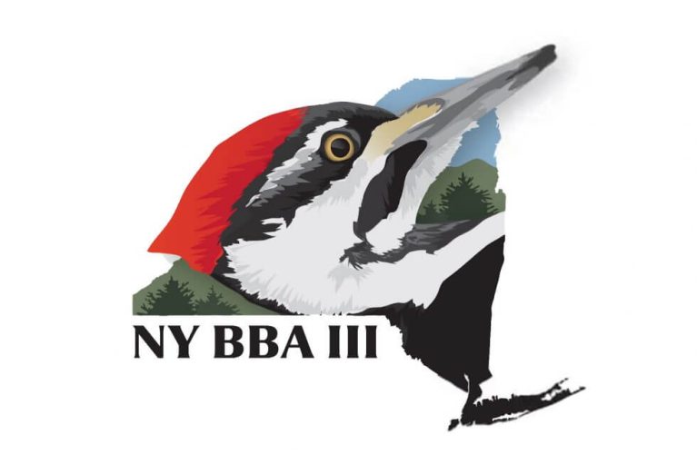 Logo for NY BBA III featuring a Pileated Woodpecker head over an outline of New York state.